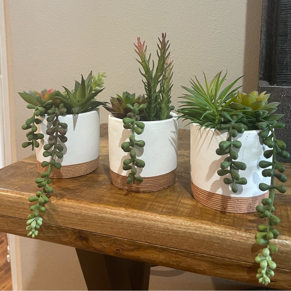 Set of 3 artificial succulents
